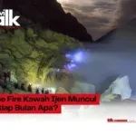 Blue Fire Kawah Ijen Muncul Setiap Bulan Apa?